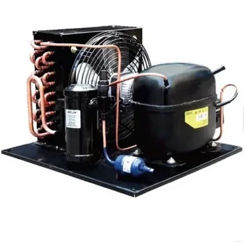 1/3 л.с. 110 В с воздушным охлаждением Малый компрессорно-конденсаторный агрегат Холодильная установка