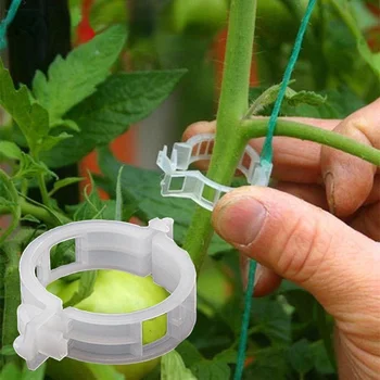  Пластиковые зажимы для растений Поддерживает соединения Многоразовая защита Инструмент для прививки Инструменты для огородничества Помидоры